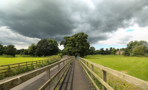 Rear view of people by field on road