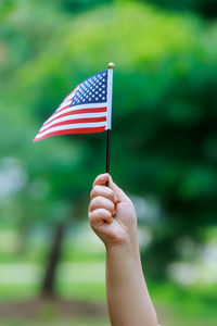 Close-up of hand holding flag