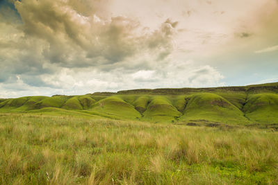 Scenic view of landscape against sky