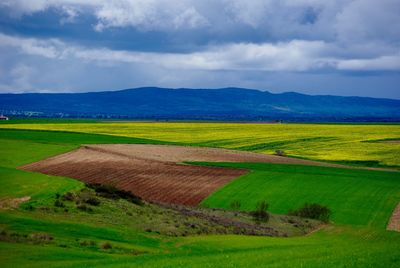 Scenic view of field against cloudy sky