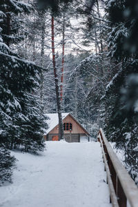 Trees on snow covered field