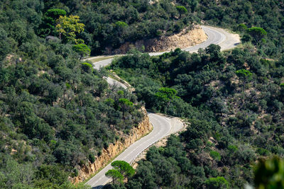 High angle view of road amidst trees