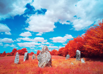 Panoramic view of trees on rock against sky