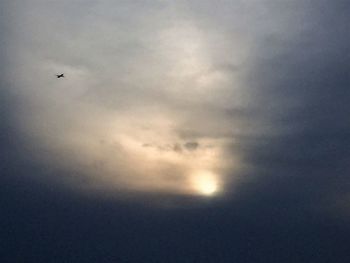 Low angle view of silhouette bird flying against sky