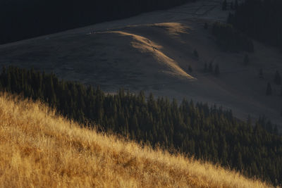 Scenic view of field by mountain