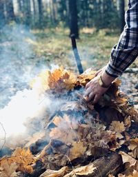 Close-up of hand holding autumn leaves in forest