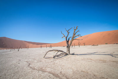 Scenic view of desert against clear blue sky