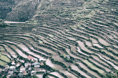 High angle view of agricultural field