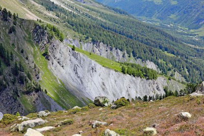 Scenic view of landscape