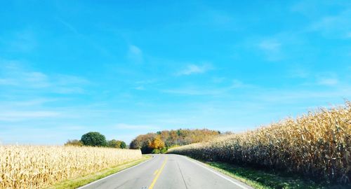 Fall foliage and freedom. the open road in sw ohio. 