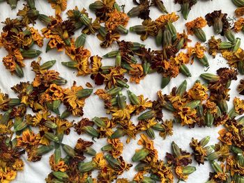 Full frame shot of christmas decorations