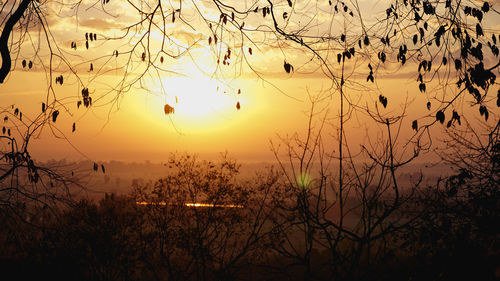 Silhouette trees against sky during sunset