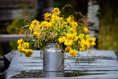 Close-up of yellow flowering plant in vase