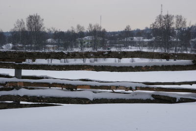 Snow covered trees on field