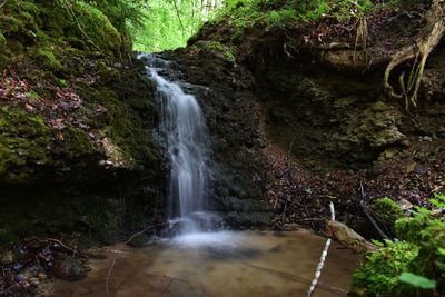 Scenic view of waterfall in forest