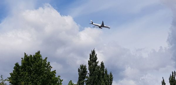 Low angle view of airplane flying in sky