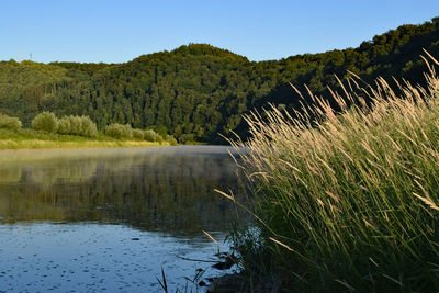 Scenic view of lake against clear sky