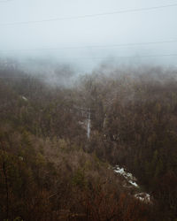 Scenic view of landscape during foggy weather