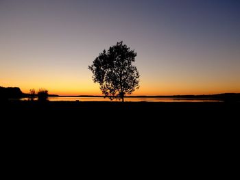 Silhouette trees on field against sky during sunset