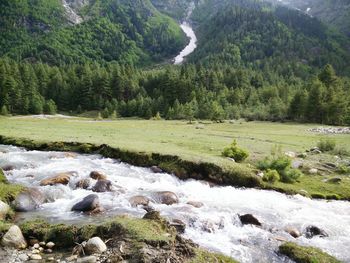 River flowing through rocks