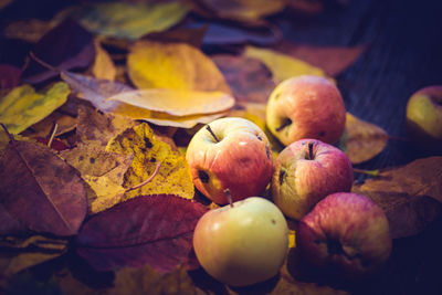 Close-up of rotten apples and autumn leaves on table