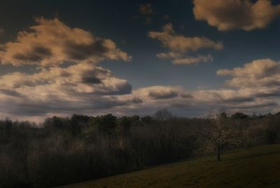 Scenic view of grassy field against cloudy sky