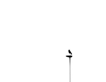 Bird perching on pole against clear sky