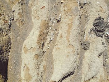 Full frame shot of textured surface