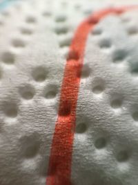 Close up of red leaf