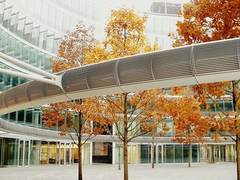 Low angle view of trees against modern building during autumn