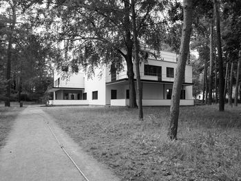 Empty footpath amidst trees and buildings