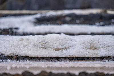 Close-up of snow covered water