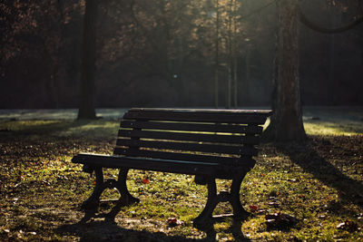 Empty bench under warm light cold autumn morning