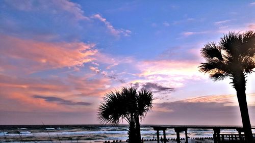 Silhouette palm trees on beach against sky during sunset