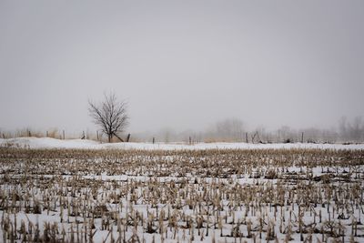 Scenic view of frozen field against sky during winter