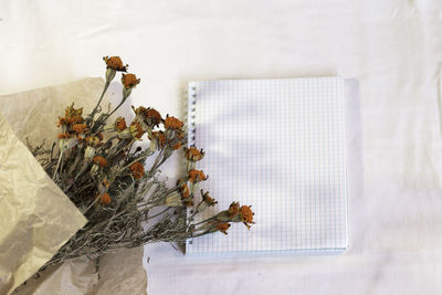 Close-up of white flowers on table