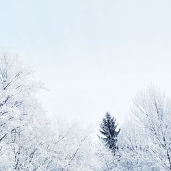 Scenic view of trees against clear sky
