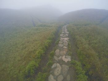 Scenic view of landscape