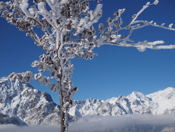 Low angle view of snowcapped mountains against clear blue sky