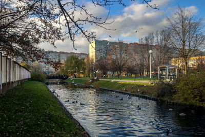 Scenic view of park by city against sky