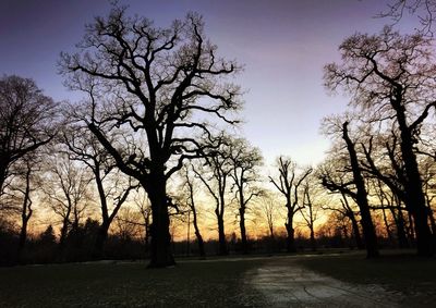 Bare trees on landscape against clear sky