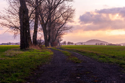 Road amidst bare trees on field against sky at sunset