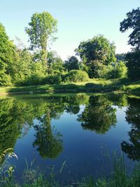 Scenic view of lake in forest against sky