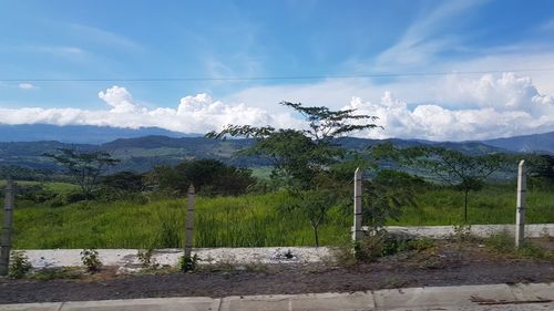 Scenic view of landscape against sky