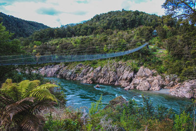 Scenic view of river amidst trees against sky