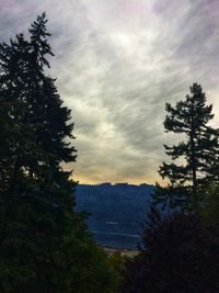 Scenic view of pine trees by lake against sky