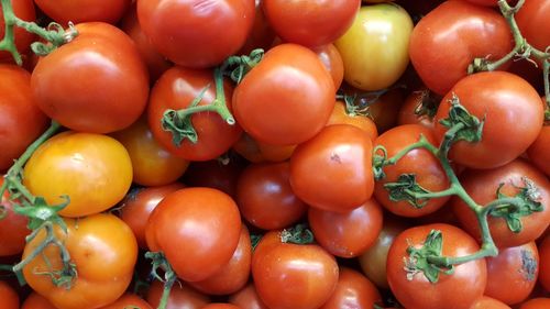 Full frame shot of tomatoes