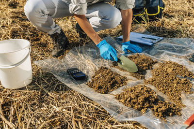 Rear view of man working on field