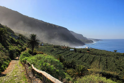 Scenic view of agricultural field against mountains