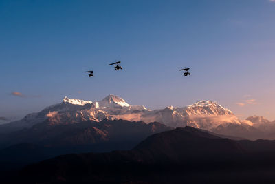 Low angle view of birds flying in sky